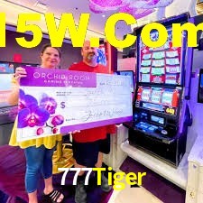 Crash Games Statistics 777Tiger